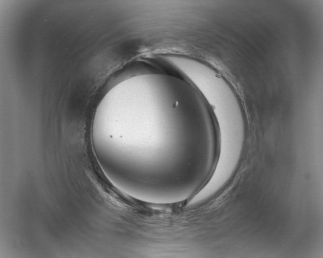 X0000052990201200507151904