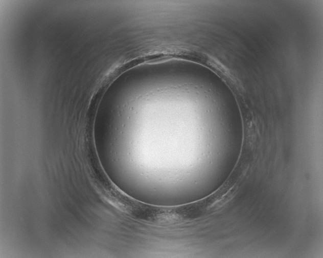 X0000052990203200507151904