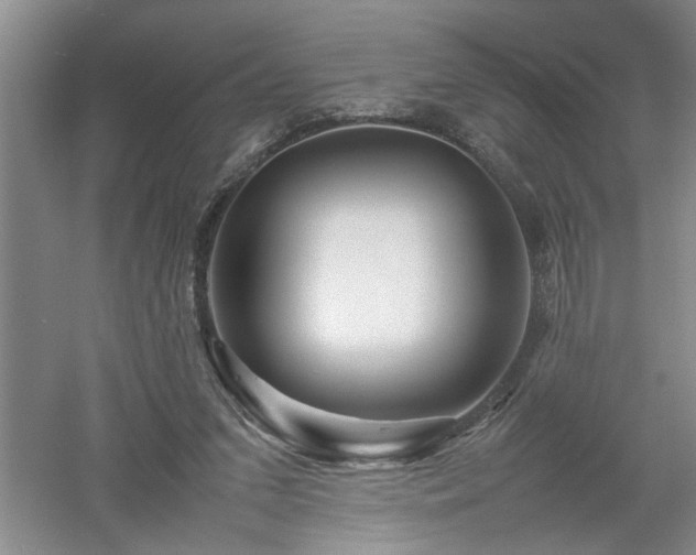 X0000052990207200507151904