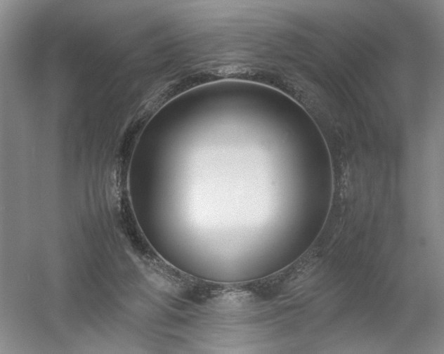 X0000052990210200507151904