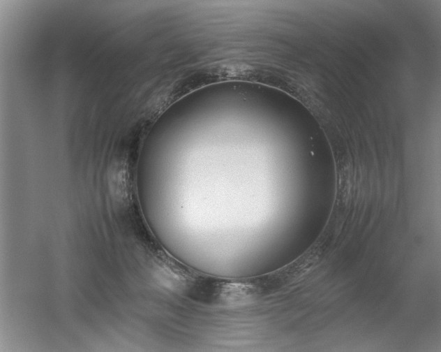 X0000052990222200507151903