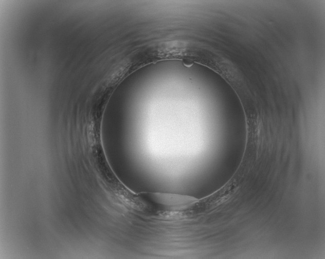 X0000052990224200507151903