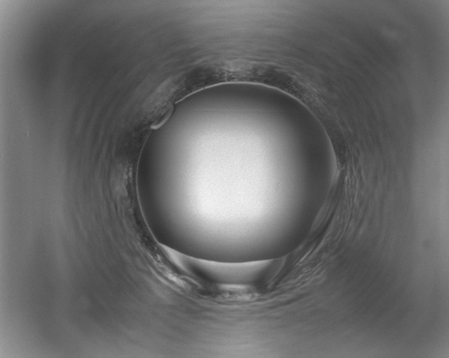 X0000052990225200507151903