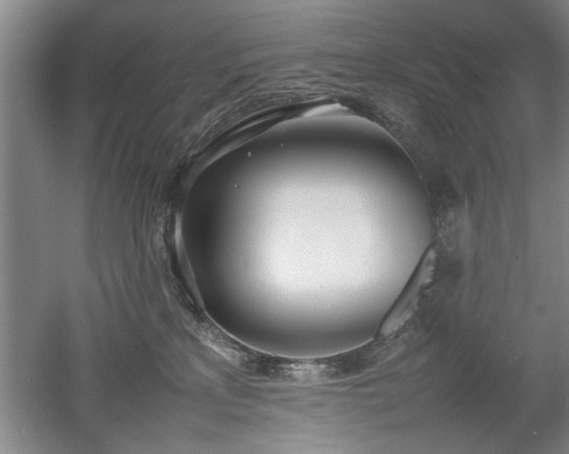 X0000052990233200507151903