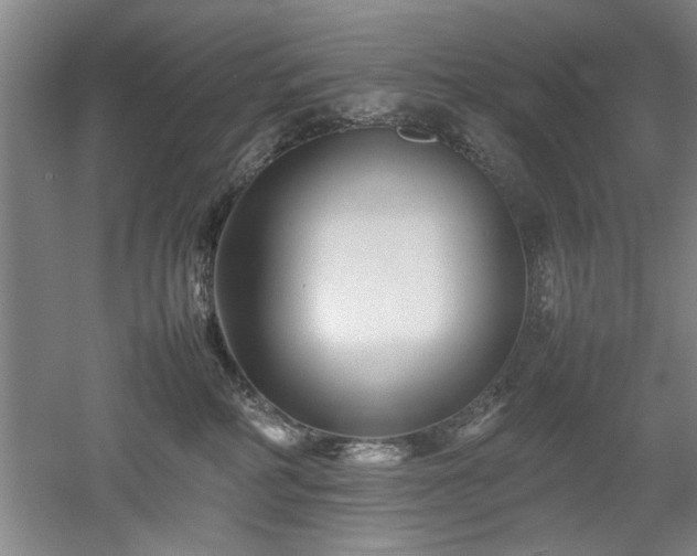 X0000052990234200507151903