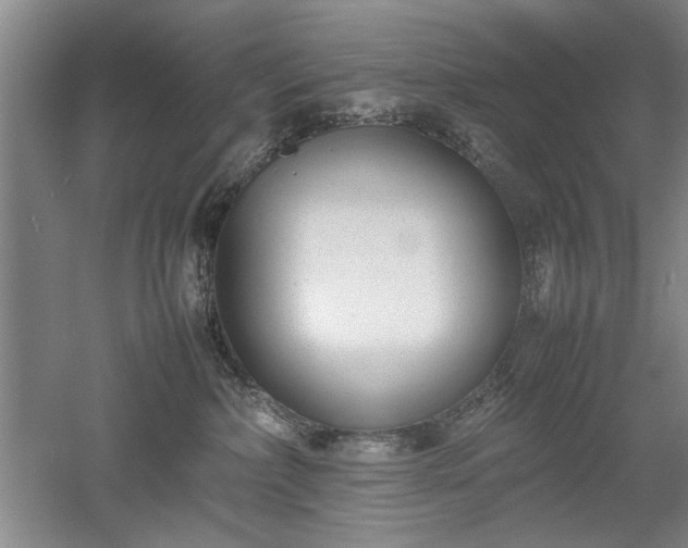 X0000052990236200507151903