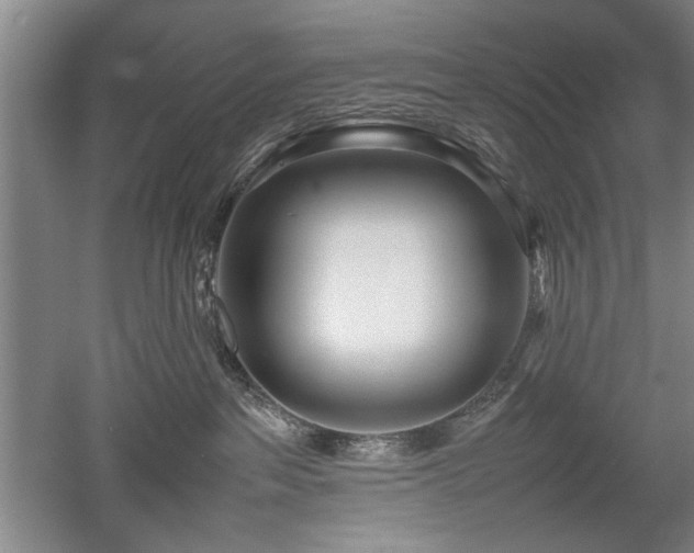 X0000052990237200507151903