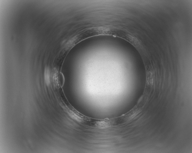 X0000052990238200507151903