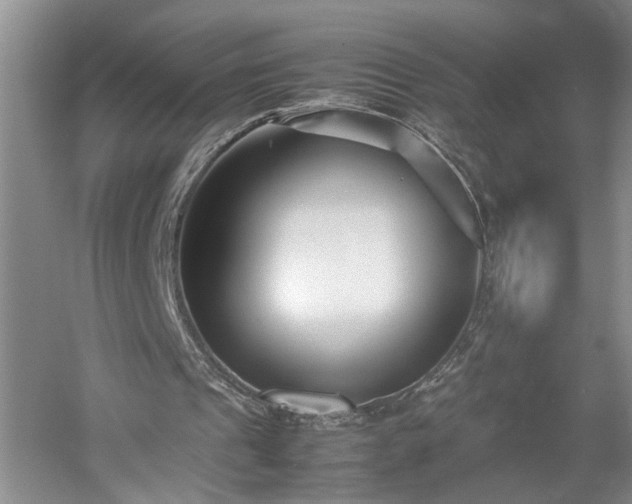X0000052990241200507151902
