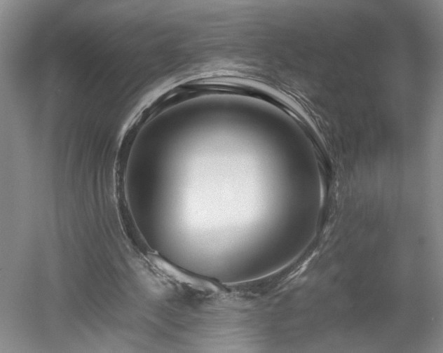 X0000052990244200507151902