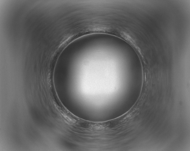 X0000052990249200507151902