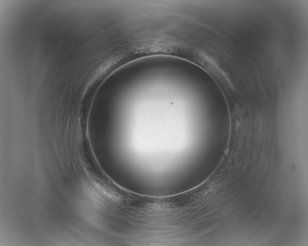 X0000052990250200507151902