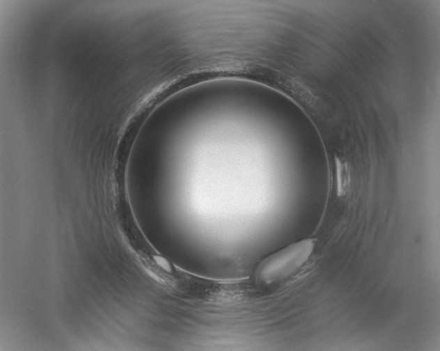 X0000052990252200507151902