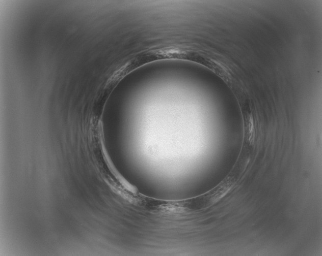 X0000052990284200507151903