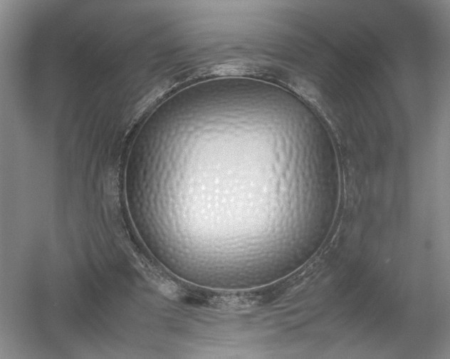 X0000052990297200507151902