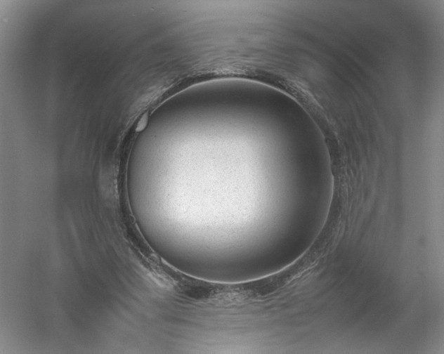 X0000052990299200507151902