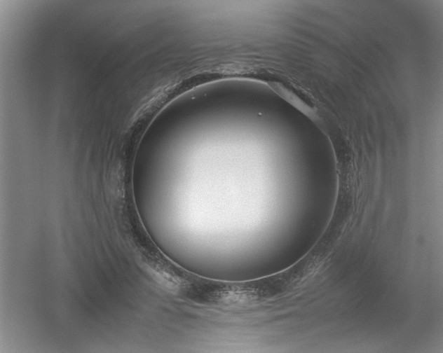 X0000052990303200507151902