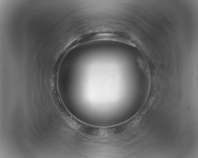 X0000052990305200507151902