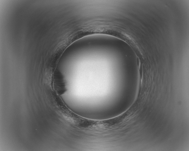 X0000052990307200507151902