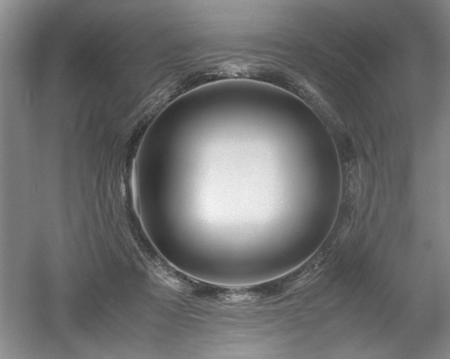 X0000052990313200507151902