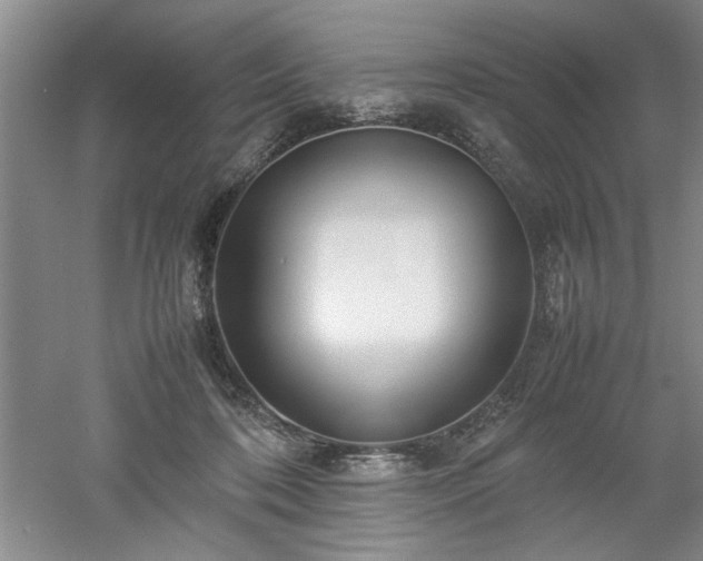 X0000052990316200507151902