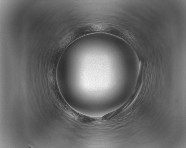 X0000052990317200507151902