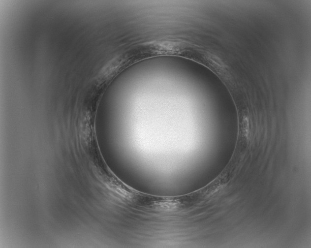 X0000052990318200507151902