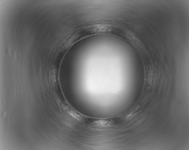 X0000052990326200507151902