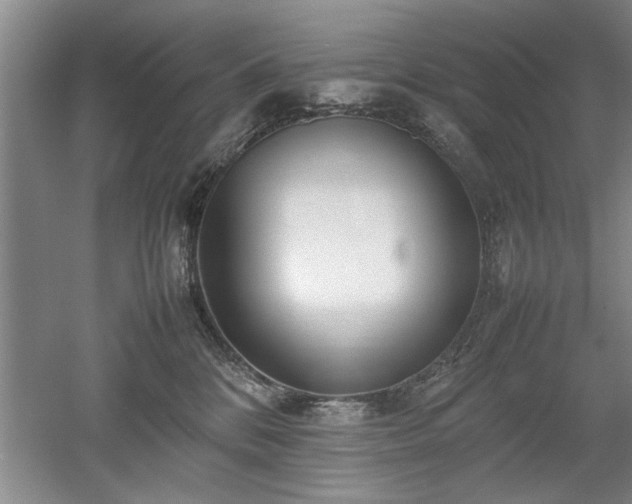 X0000052990328200507151901