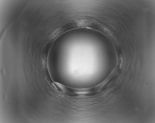 X0000052990329200507151901