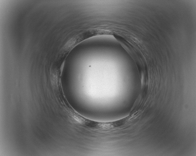 X0000052990333200507151901
