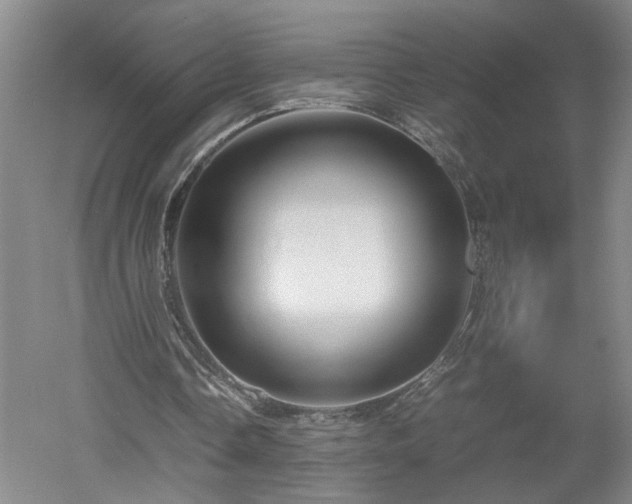 X0000052990338200507151901