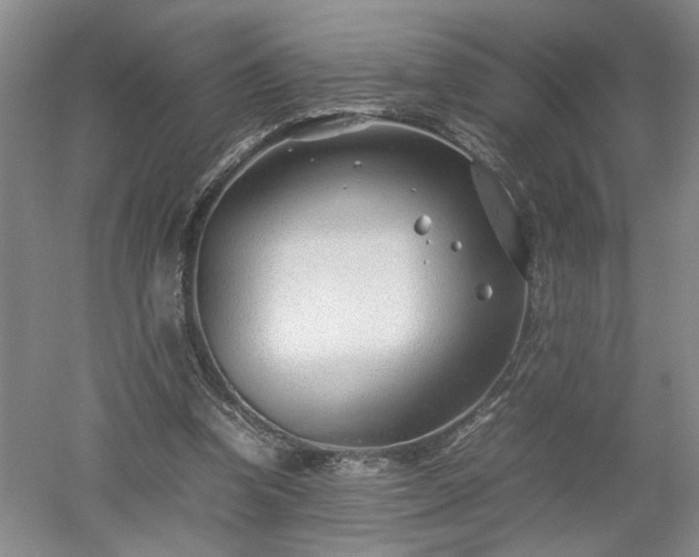 X0000052990346200507151901