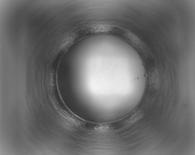 X0000052990362200507151901