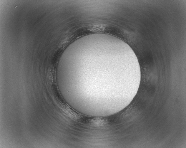 X0000052990370200507151901