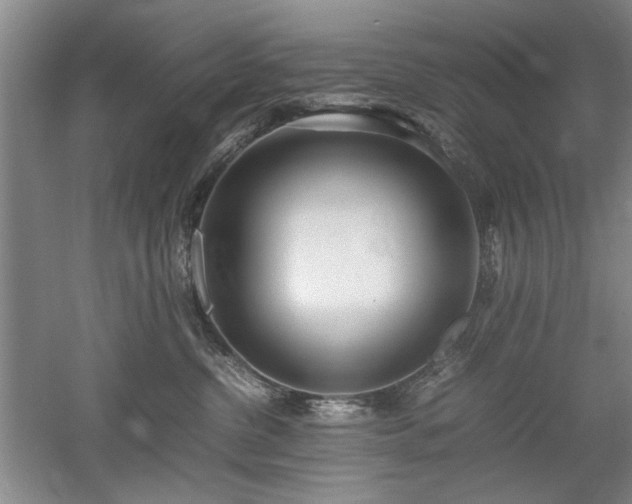 X0000052990380200507151901