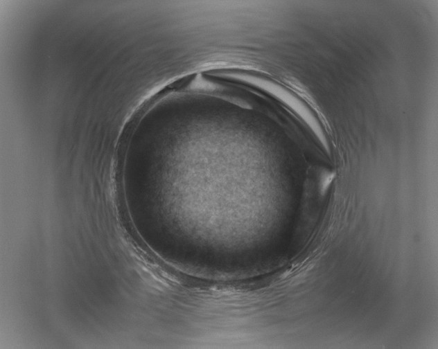 X0000052990387200507151900