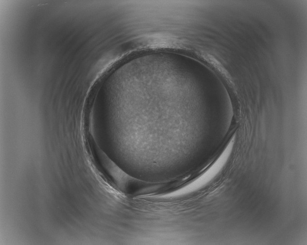X0000052990391200507151900