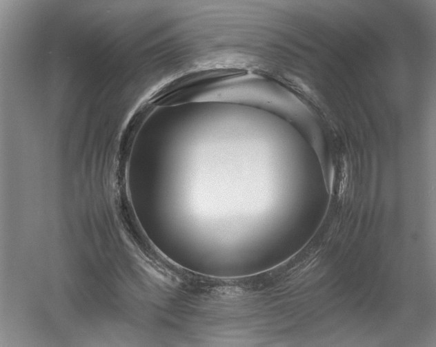 X0000052990392200507151900