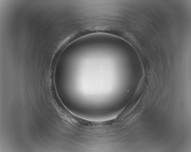 X0000052990395200507151900