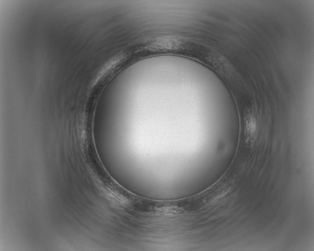 X0000052990396200507151900