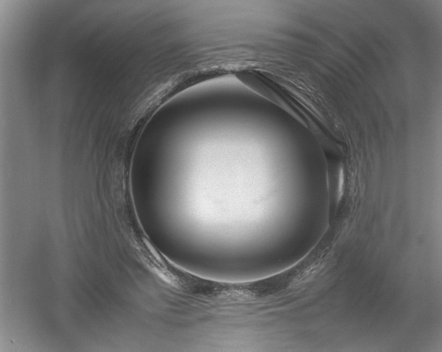 X0000052990397200507151900