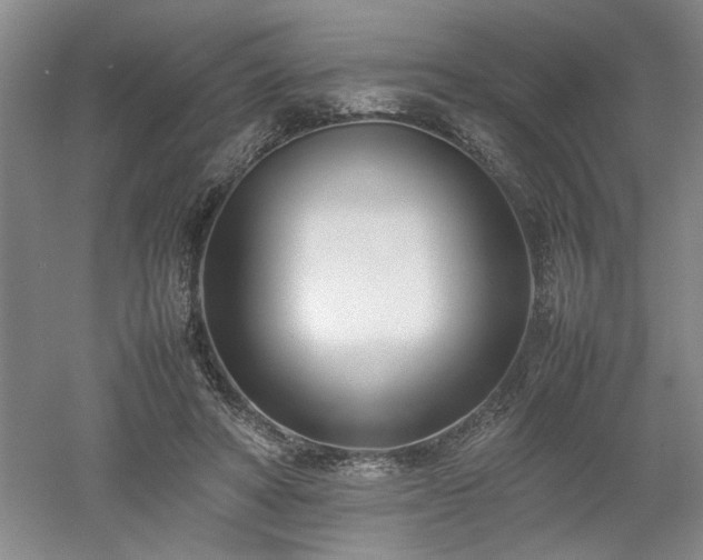 X0000052990402200507151900