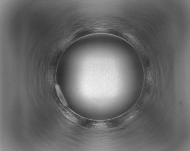X0000052990409200507151900