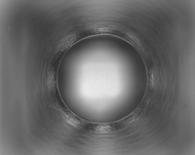 X0000052990410200507151900