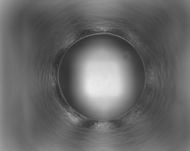 X0000052990414200507151900