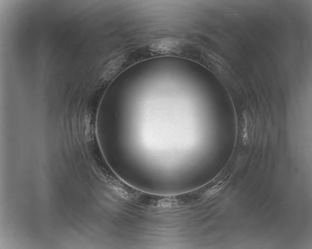 X0000052990420200507151900