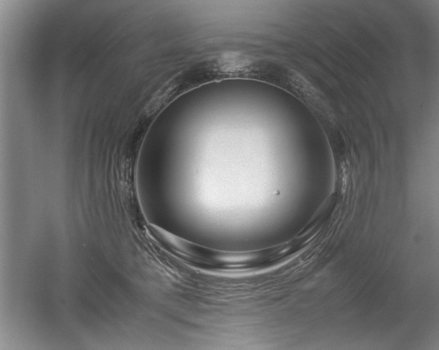 X0000052990421200507151900