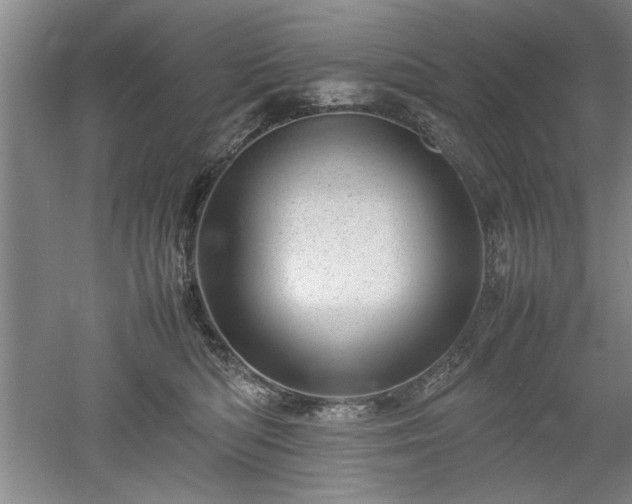 X0000052990422200507151900