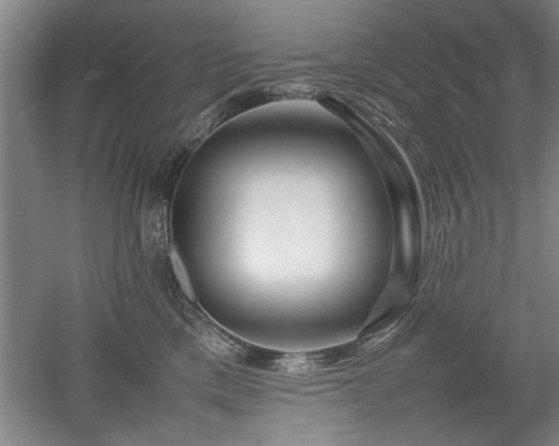 X0000052990425200507151900